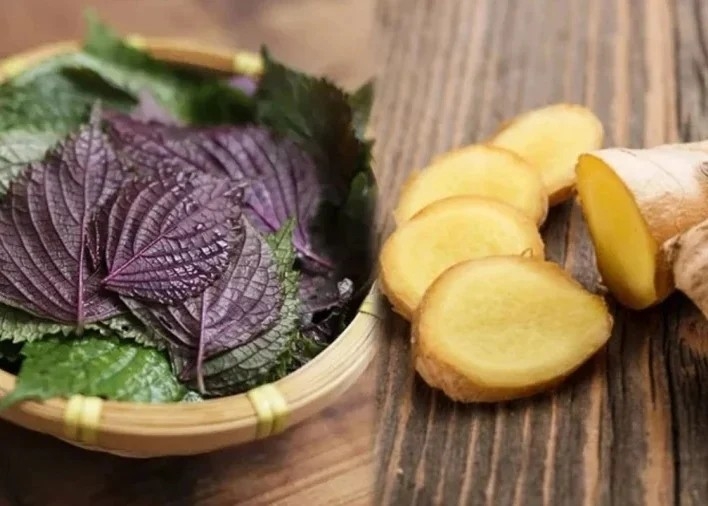 Nước tía tô nấu với gừng có thể giải cảm, giảm ho, hỗ trợ tiêu hóa. (Ảnh minh họa)