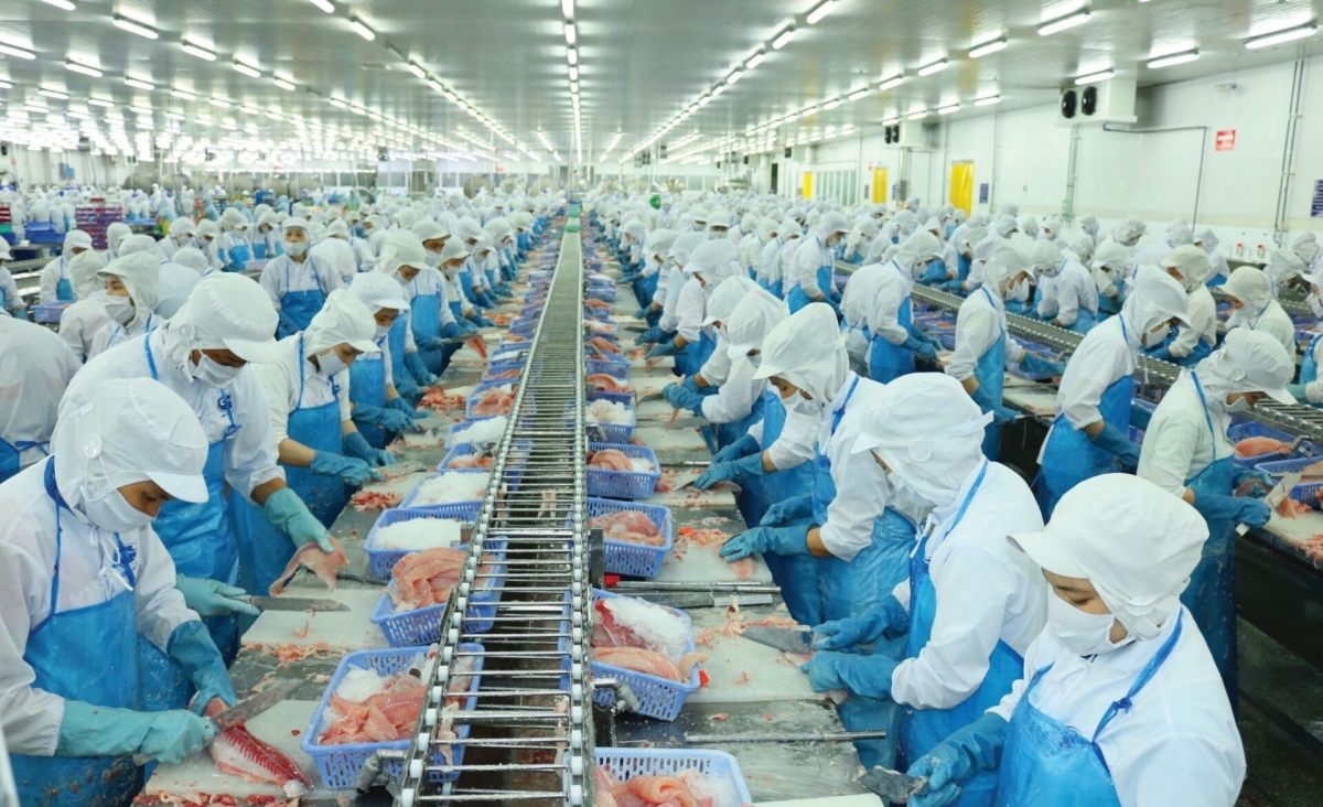 Công nhân chế biến tôm đông lạnh trong một nhà máy tại Việt Nam.
