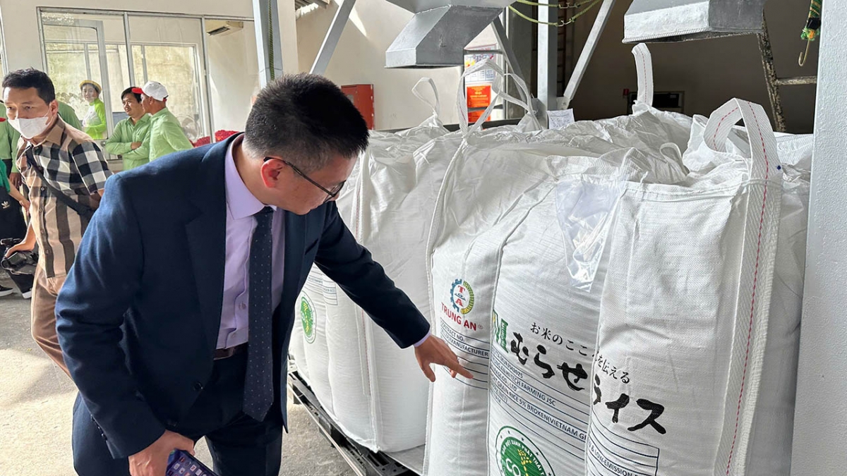 Gạo là một trong những mặt hàng xuất khẩu chủ lực của Việt Nam.