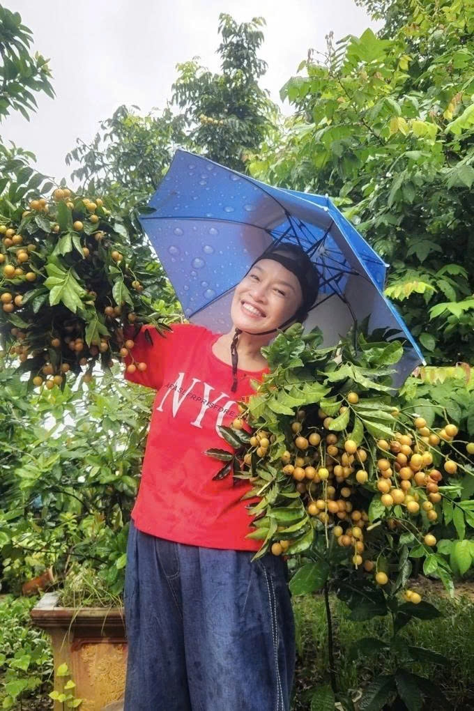 Nghệ sĩ Tú Oanh thu hoạch quất hồng bì trong vườn nhà. (Nguồn: FBNV)