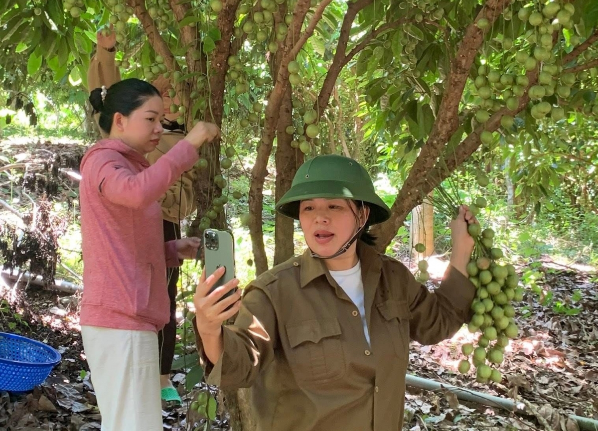 Nhiều loại nông sản của tỉnh Khánh Hòa đã được đưa lên các sàn thương mại điện tử