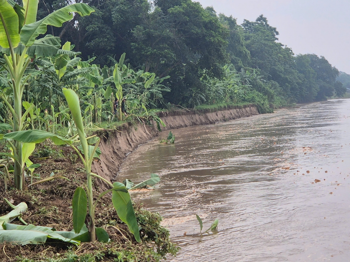  Đồng thời, phân công lực lượng thường xuyên kiểm tra, nắm bắt tình hình, báo cáo kịp thời mọi diễn biến phát sinh. 