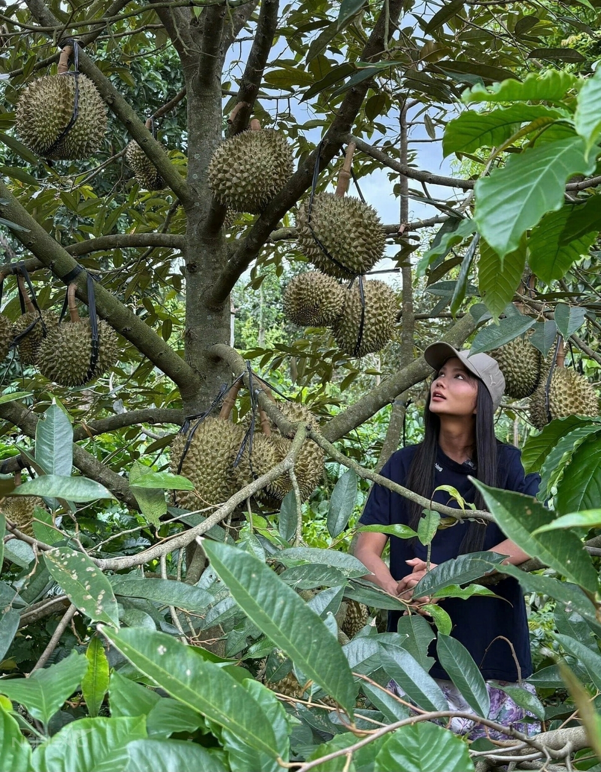 Hoa hậu Hoàn vũ Việt Nam 2017 H'Hen Niê cho biết khu vườn rộng 2.500 m2 ở Đắk Lắk là nơi mang lại năng lượng tích cực cho cô mỗi khi trở về sau những bộn bề cuộc sống.