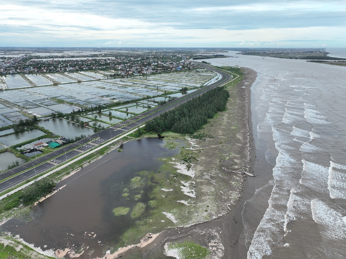 Khoảng 41.415 ha lúa mùa bị ảnh hưởng. Ảnh: CTV