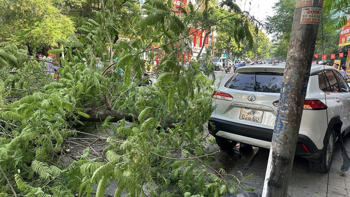 Hiện nguyên nhân vụ việc đang được tiếp tục làm rõ.