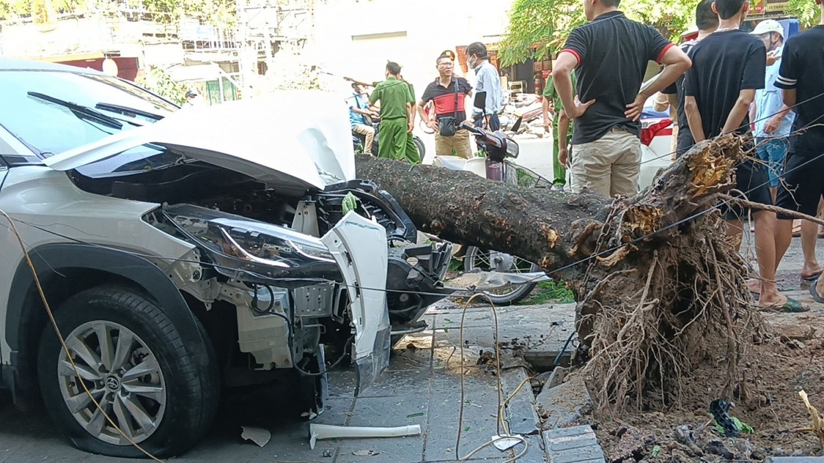 ...ô tô chỉ dừng lại khi húc bật gốc cây xanh trên vỉa hè.