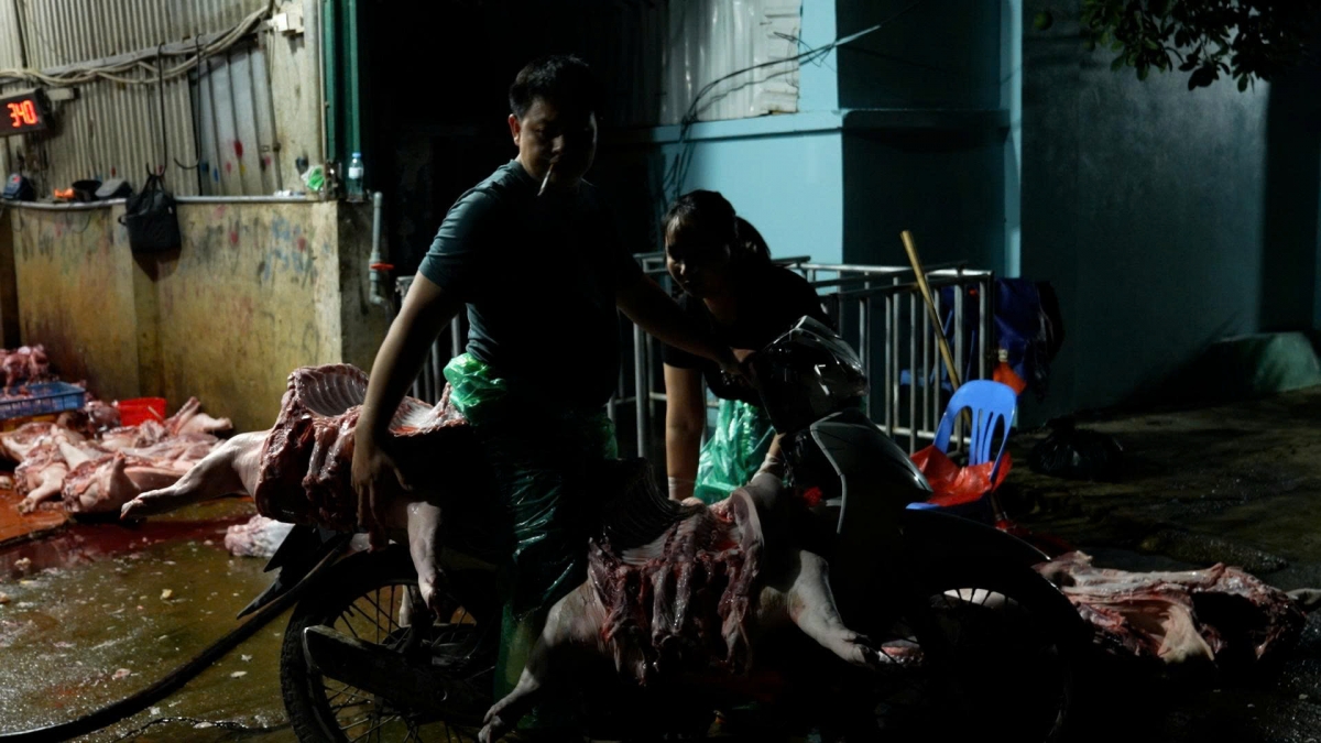 Sau khi mang được lợn ra chợ,để lẫn thành phẩm lợn chết với lợn tươi sống khác trên bàn.