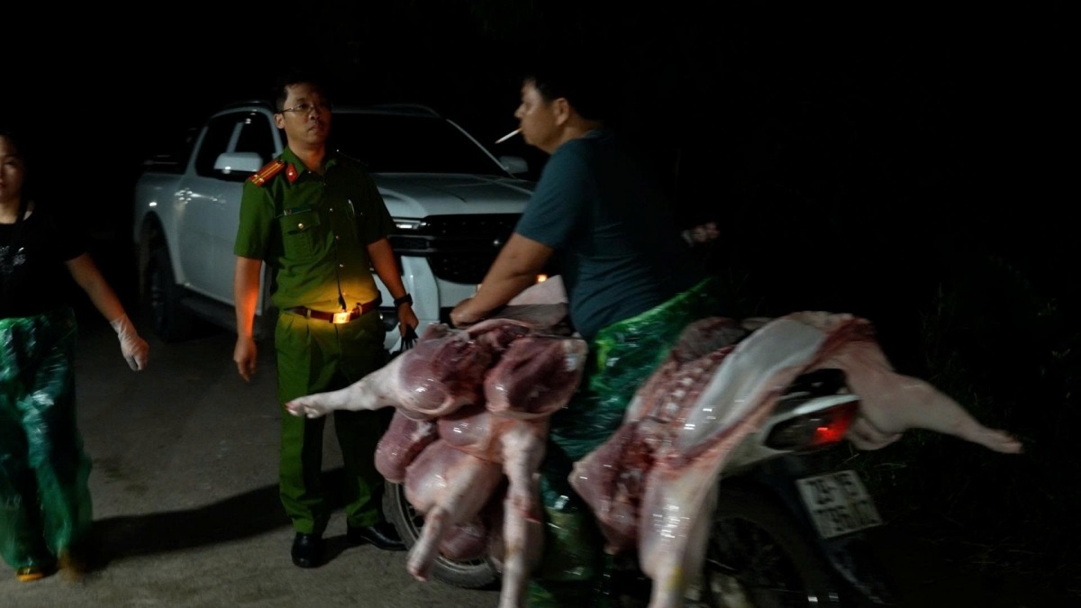 Thịt lợn nhiễm bệnh được các đối tượng lén lút vận chuyển đi tiêu thụ trong đêm. Ảnh: Công an Hà Nội cung cấp.