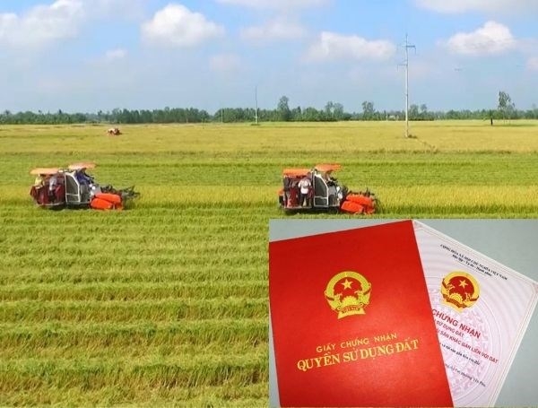 Bộ Tài chính đề xuất giảm tiền sử dụng đất đến 70% khi chuyển từ đất nông nghiệp sang đất ở cho hộ gia đình, cá nhân. (Ảnh minh họa: KT)