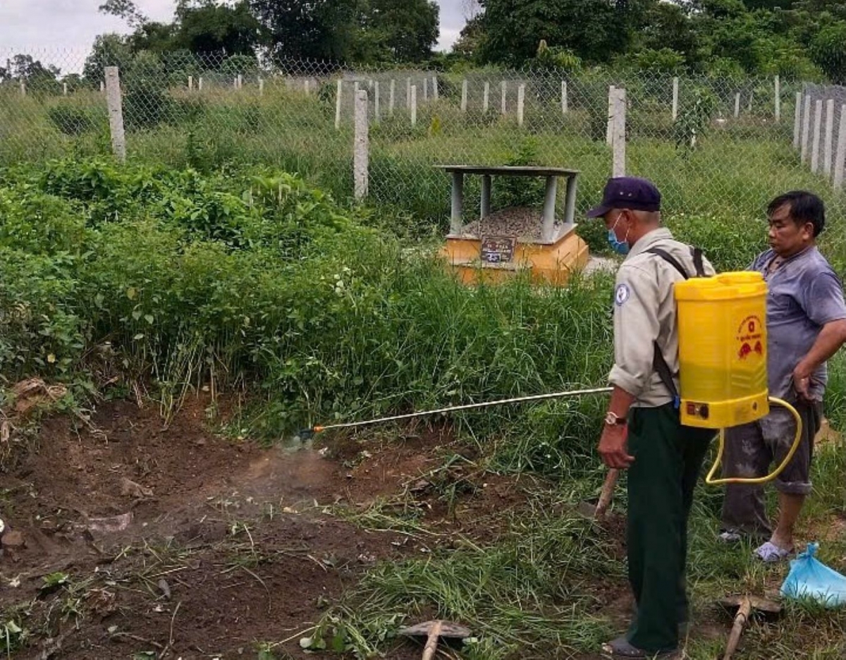 Lực lượng chức năng tiêu hủy lợn có dấu hiệu mắc bệnh