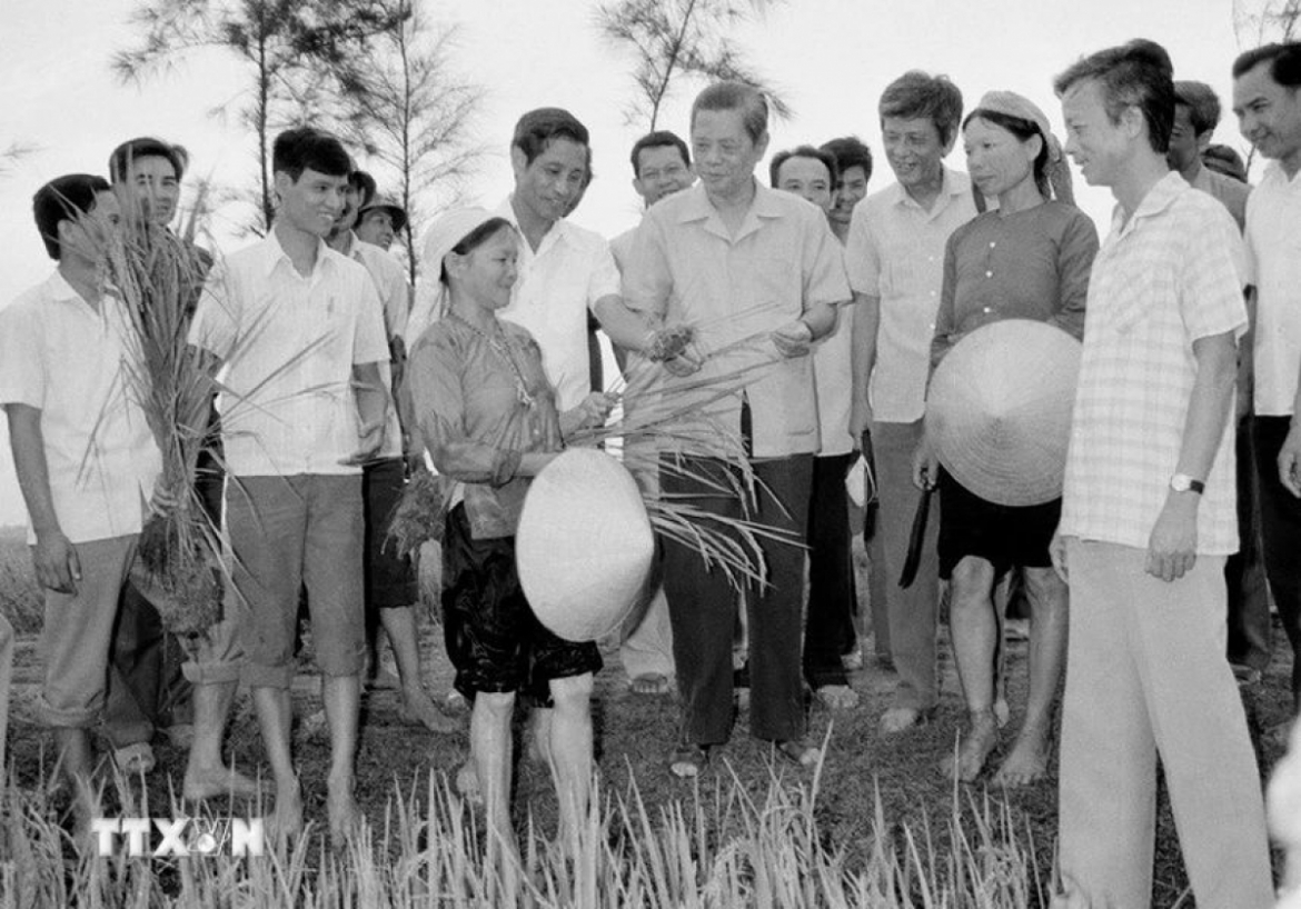 Tổng Bí thư Nguyễn Văn Linh thăm cánh đồng lúa Hợp tác xã Hải Vân, huyện Hải Hậu trong chuyến về thăm và làm việc tại tỉnh Hà Nam Ninh, từ ngày 25-29/5/1988. Ảnh: TTXVN