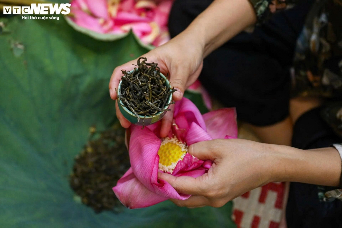 Những năm gần đây, bên cạnh phương pháp ướp gạo sen truyền thống, người làm trà còn sáng tạo thêm một hình thức mới ướp nguyên bông sấy khô. Với cách làm này, trà được ướp hương, sau đó đặt trực tiếp vào lòng bông sen tươi, gói lại bằng cánh và lá sen, đem sấy khô.