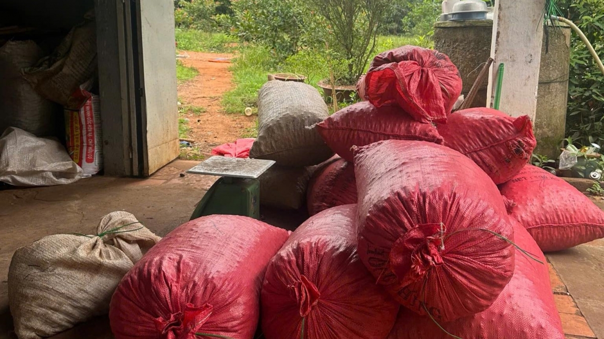 Tang vật của vụ việc (Ảnh: Công an tỉnh Đồng Nai)