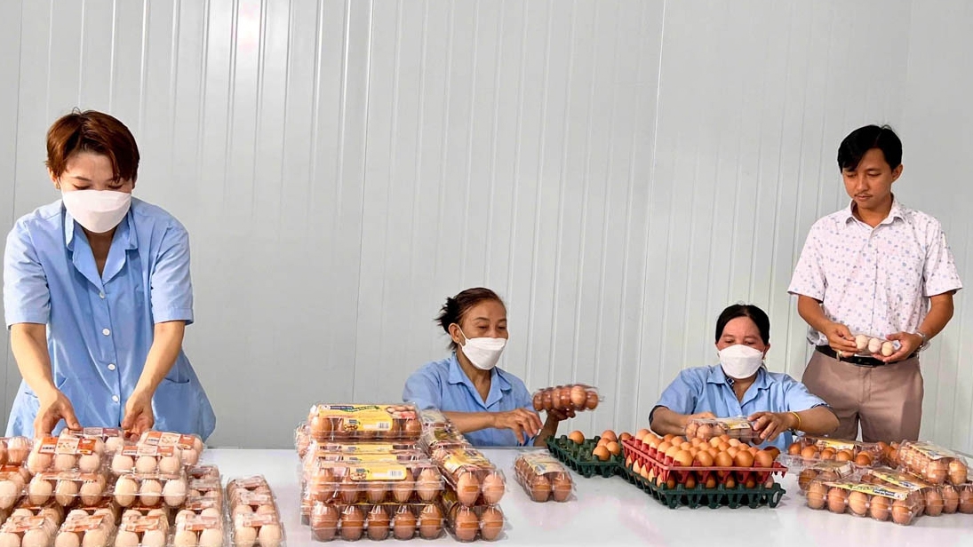 Doanh nghiệp tư nhân cần tận dụng cơ hội vàng để bứt phá - (Ảnh minh họa: KT)