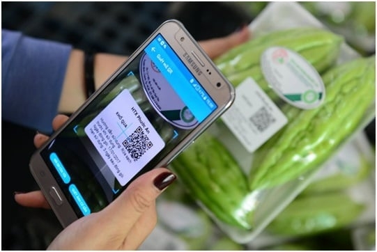 Minh bạch từ truy xuất nguồn gốc hàng hóa để bước vào nhóm xuất khẩu có trách nhiệm (Ảnh: Bộ KH&amp;CN)