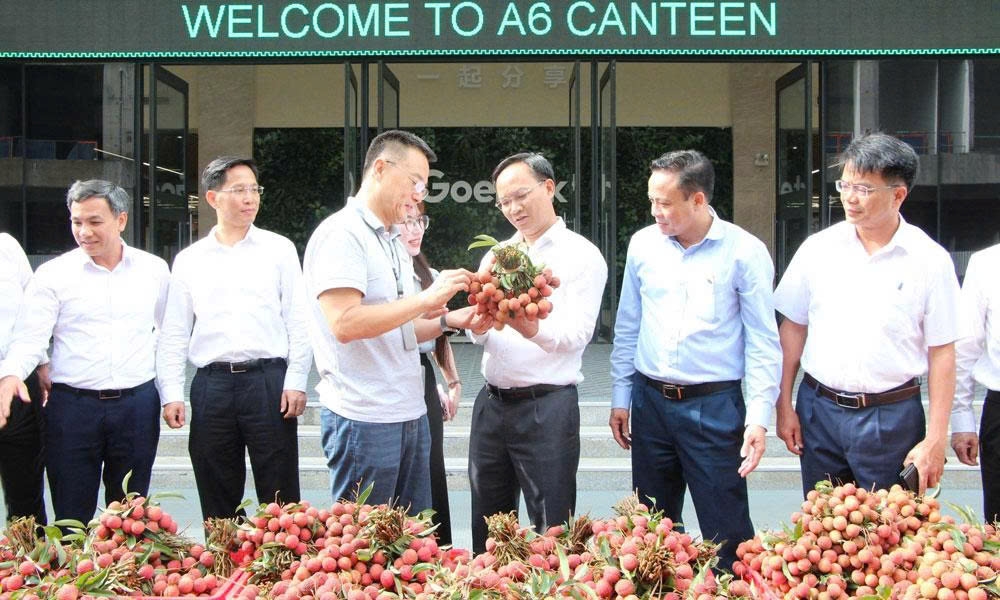 Phó Chủ tịch UBND tỉnh Bắc Ninh Phạm Văn Thịnh giới thiệu với doanh nghiệp nước ngoài về vải thiều của tỉnh