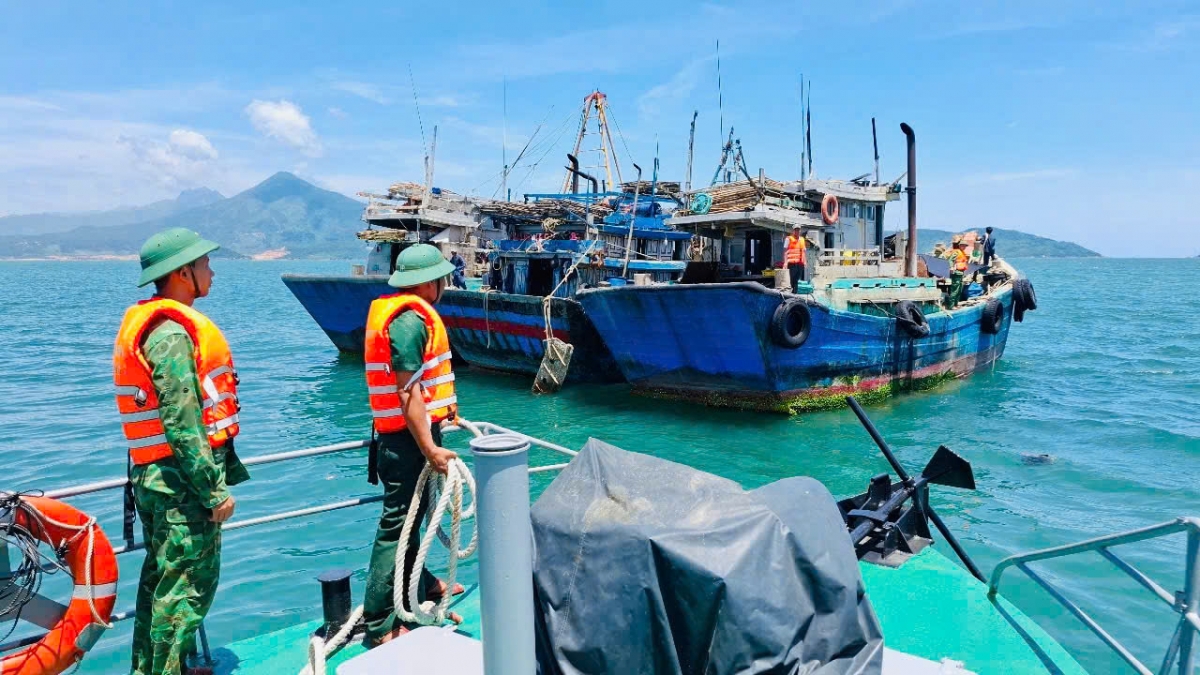 Đà Nẵng triển khai đồng bộ các giải pháp chống khai thác IUU