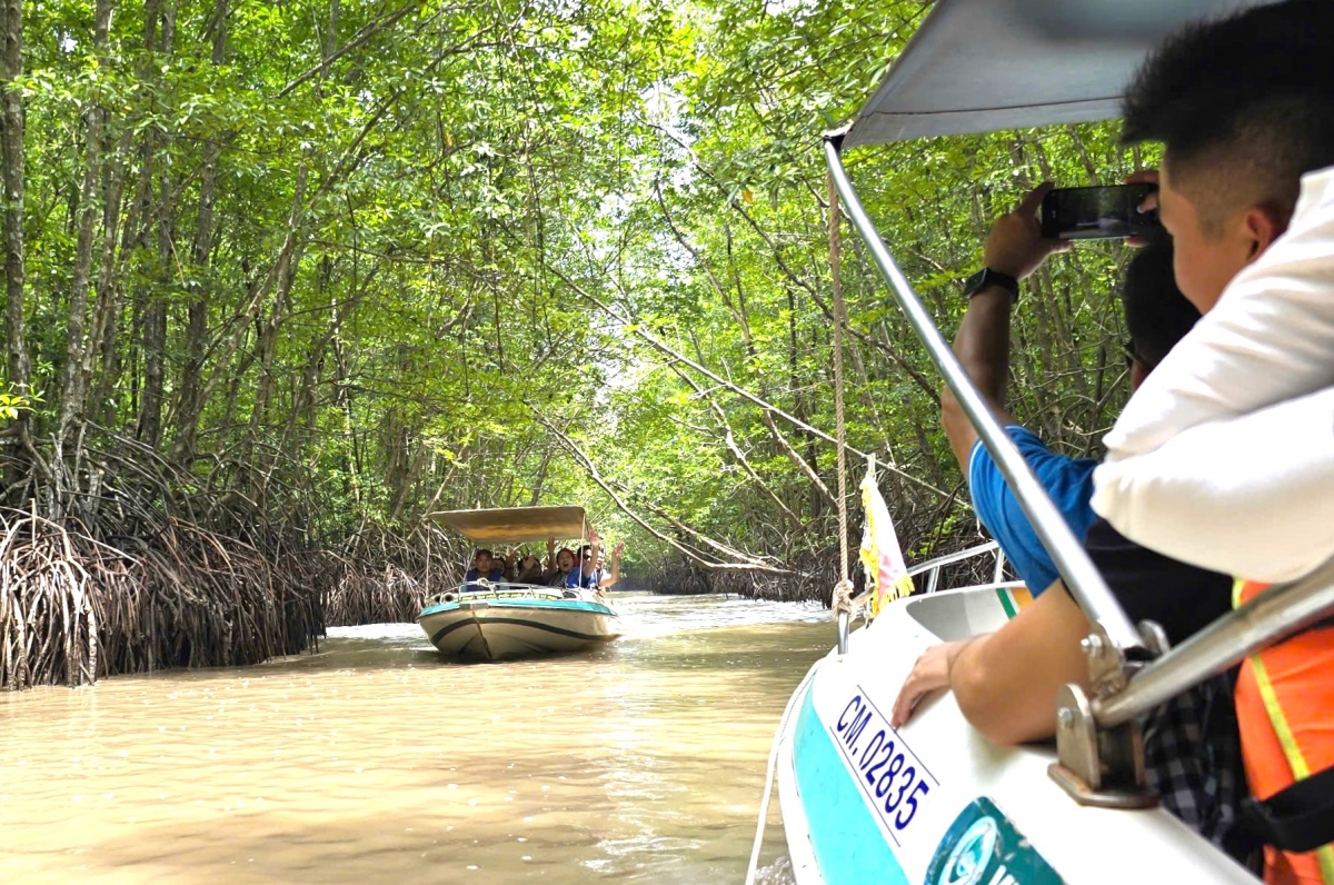 Du khách trải nghiệm dưới tán rừng đước vùng Đất Mũi, Cà Mau