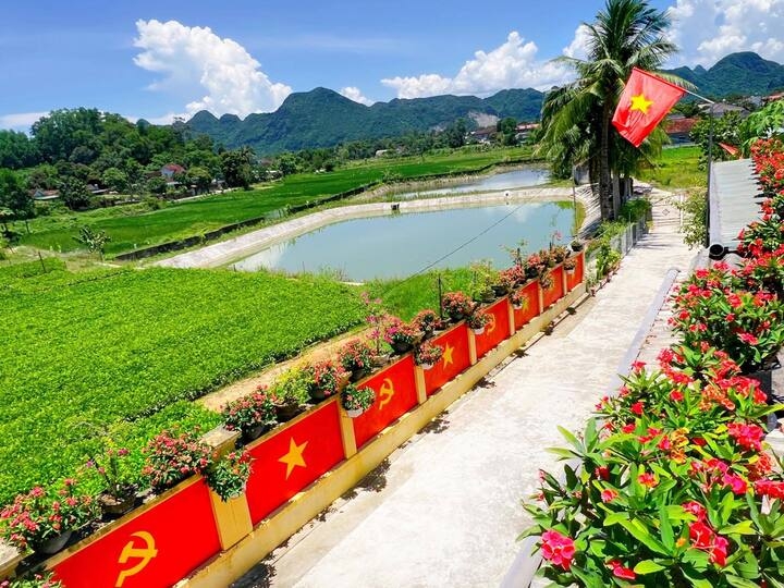 Con đường bừng sáng với hình cờ Đảng, cờ Tổ quốc và những chậu hoa rực rỡ.