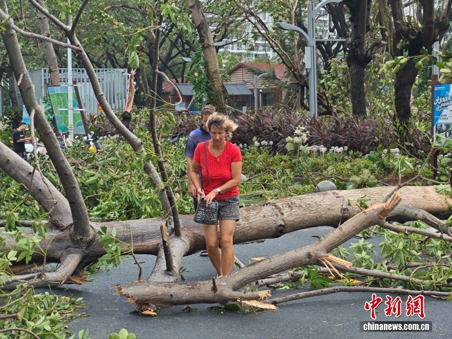 Du khách đi qua những tán cây ngã đổ do bão Kajiki gây ra cho thành phố Tam Á, tỉnh Hải Nam ngày 25/8. Ảnh: Chinanews