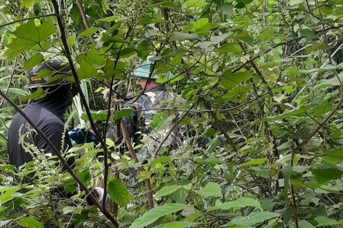 Lực lượng chức năng cùng gia đình tìm kiếm bà Vân (Ảnh: Gia đình cung cấp).
