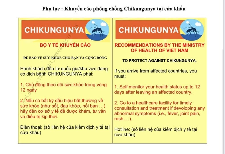 Bộ Y tế phát cảnh báo khuyến cáo người dân trước bệnh chikungunya đang lây lan toàn cầu