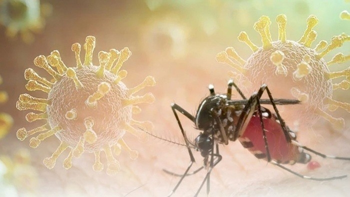 Chikungunya có thể gây biến chứng nghiêm trọng. Ảnh: Getty Images