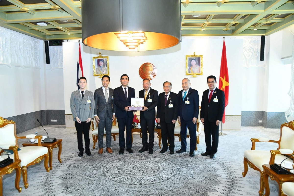 Buổi tiếp có sự tham dự của Chủ tịch Ủy ban Đối ngoại, lãnh đạo và đại diện một số ủy ban của Thượng viện Thái Lan