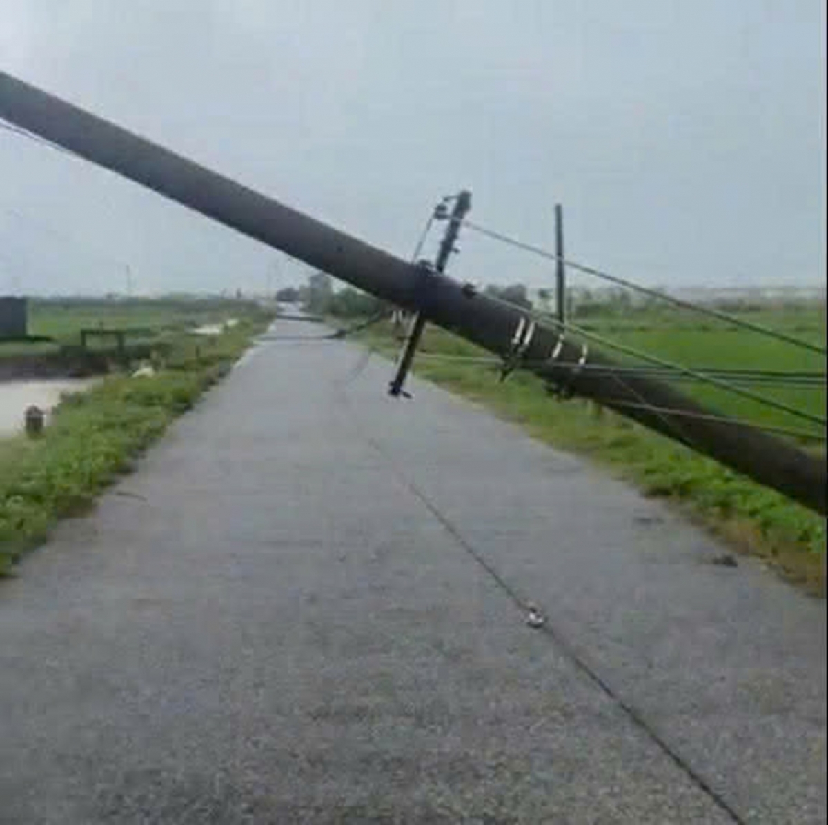 Hình ảnh cột điện gãy đổ tại xã Liên Minh