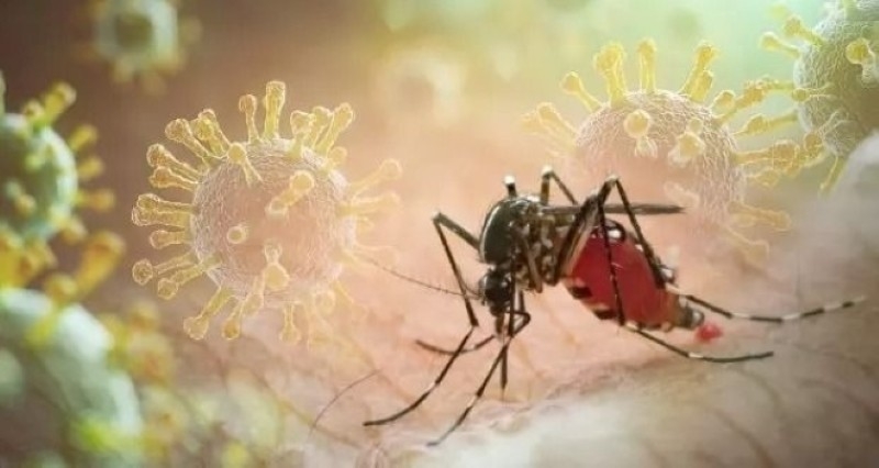 Các ca bệnh Chikungunya được ghi nhận ở nhiều quốc gia. Ảnh: Getty Images