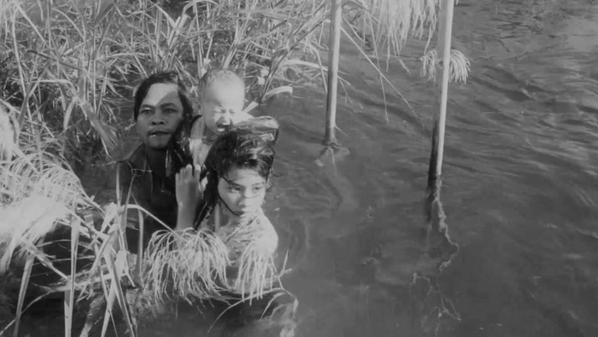 Phim xoay quanh câu chuyện của một gia đình ba người sống giữa vùng Đồng Tháp Mười vừa mưu sinh vừa âm thầm phục vụ cách mạng. (Hình ảnh trong phim)