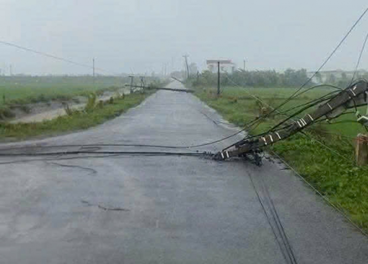 Hình ảnh cột điện gãy đổ tại xã Liên Minh