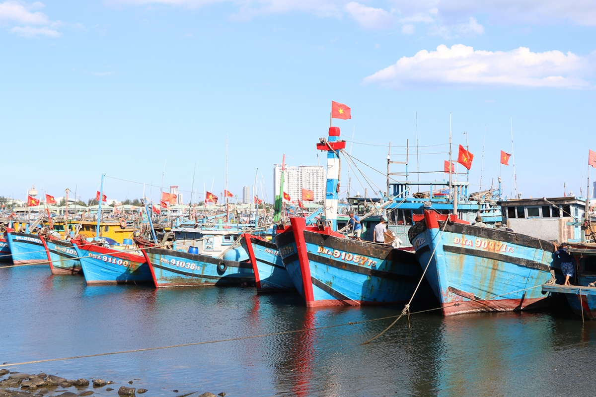 Đà Nẵng hiện có 4.142 tàu cá có chiều dài từ 6 mét trở lên