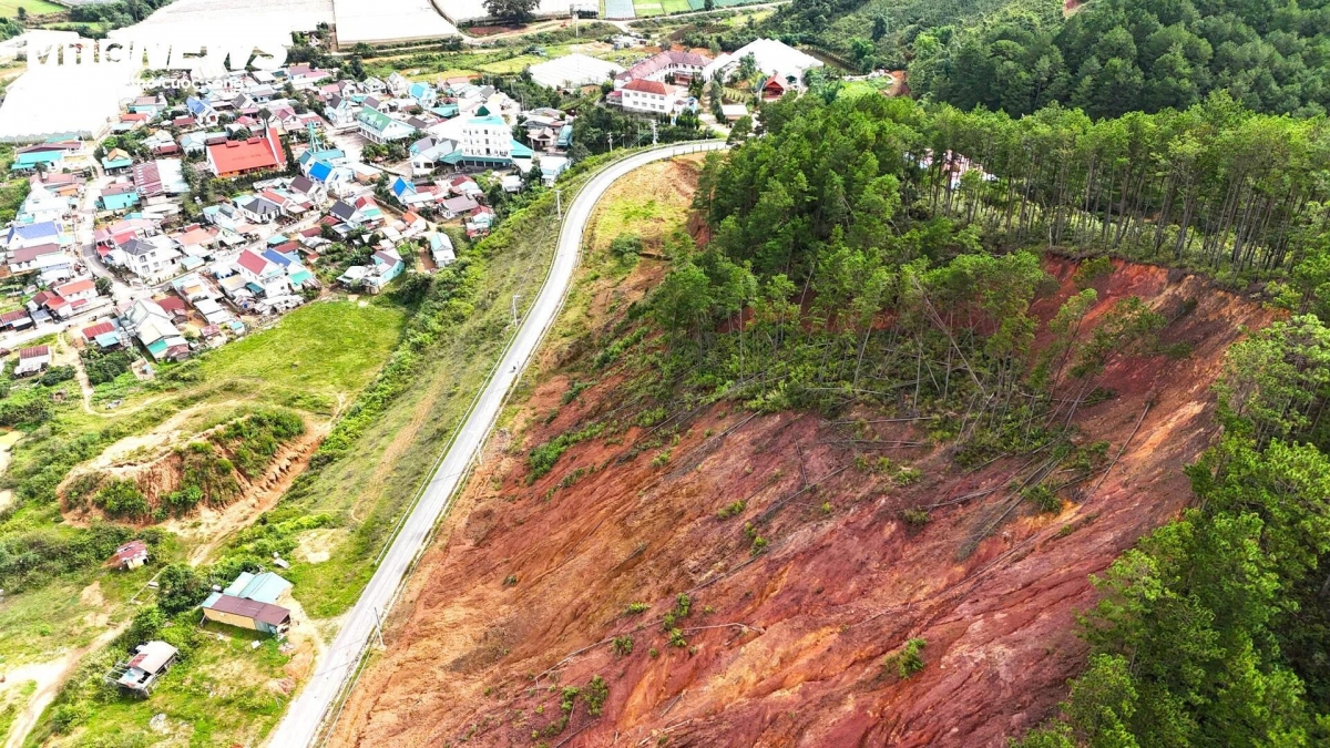 Nhiều cây cối, đất đá sạt lở, ngã đổ khắp nơi khiến người dân thôn Păng Tiêng rất lo lắng mỗi khi mưa lớn xảy ra.