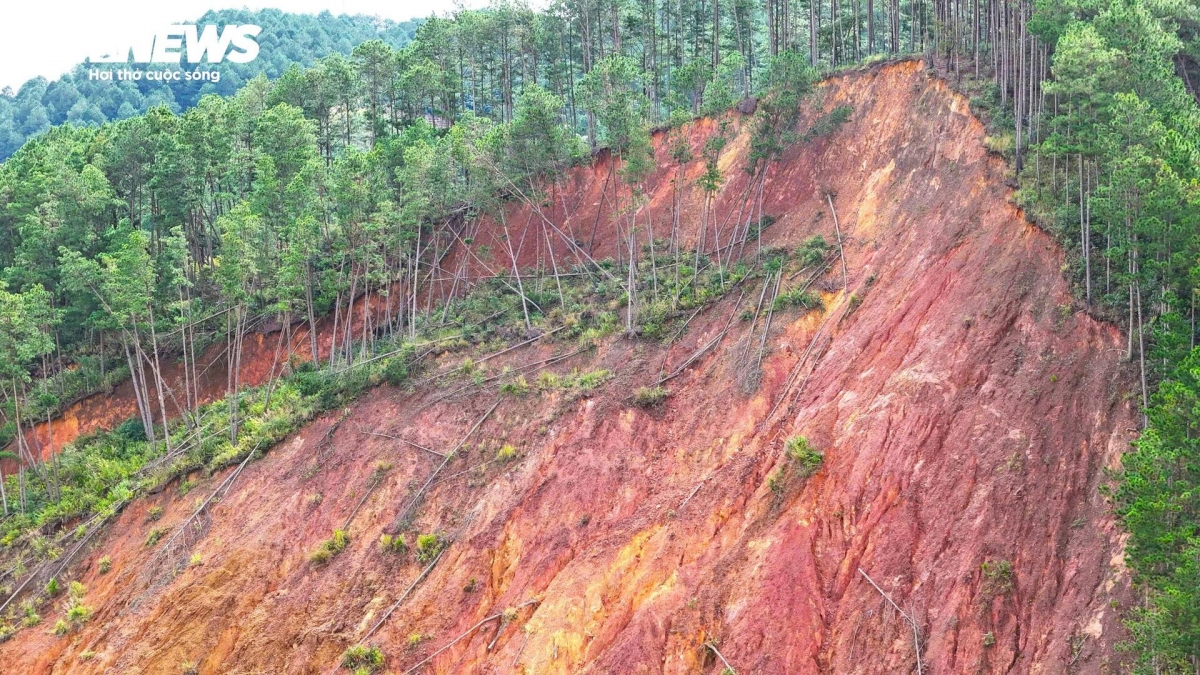 Quả đồi này nằm gần cửa dẫn nước thủy điện Đạ Dâng - Đạ Chomo. Sau nhiều ngày mưa lớn, gần 1/3 thân đồi đã bị khoét sâu, hàng trăm mét khối đất đá trượt xuống, cây thông bật gốc.