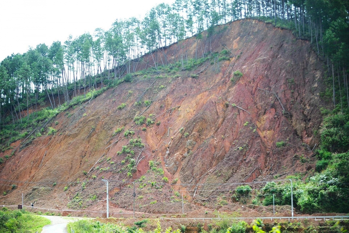 Ông Bùi Thế, chủ tịch UBND phường Lang Biang - Đà Lạt, cho biết đã nắm thông tin về điểm có nguy cơ sạt lở nói trên. "Chúng tôi sẽ cho khảo sát lại để sớm có phương án cụ thể phòng ngừa rủi ro", ông Thế cho hay.