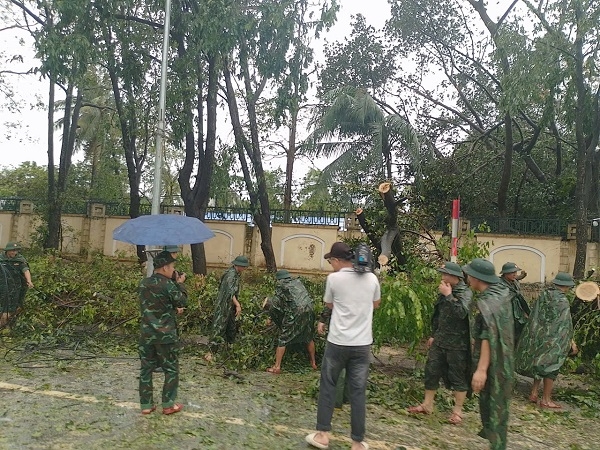 Dọn dẹp cây đổ