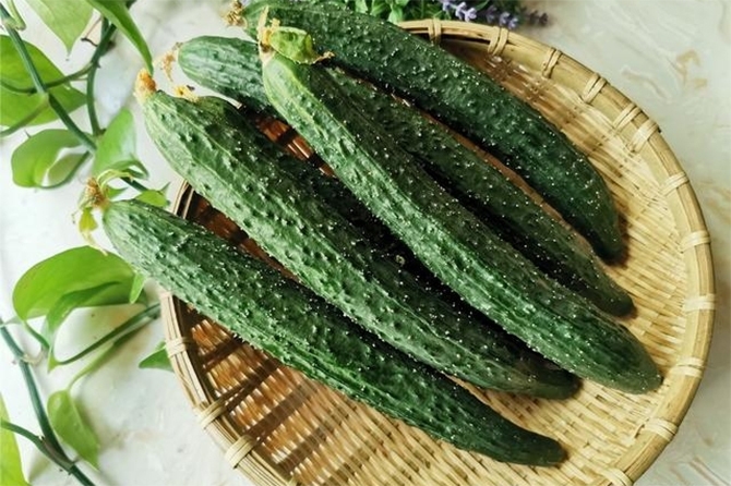 Dưa chuột bị đắng nên ăn hay bỏ? (Ảnh: Sohu)