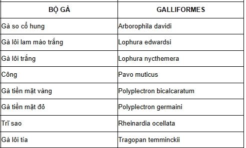 Bộ gà trong Danh mục Thực vật rừng, động vật rừng nguy cấp, quý, hiếm