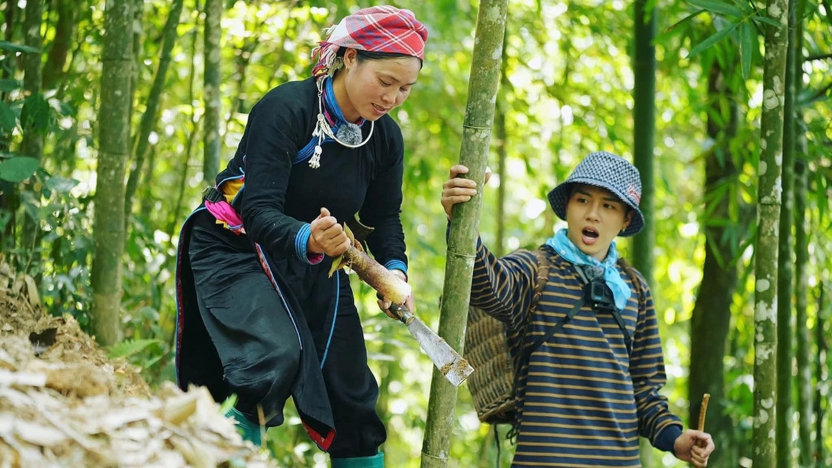 Chị Vàng Thị Thông hướng dẫn các nghệ sĩ lấy măng rừng trong show “Gia đình Haha”.  (Ảnh: Gia đình Haha)