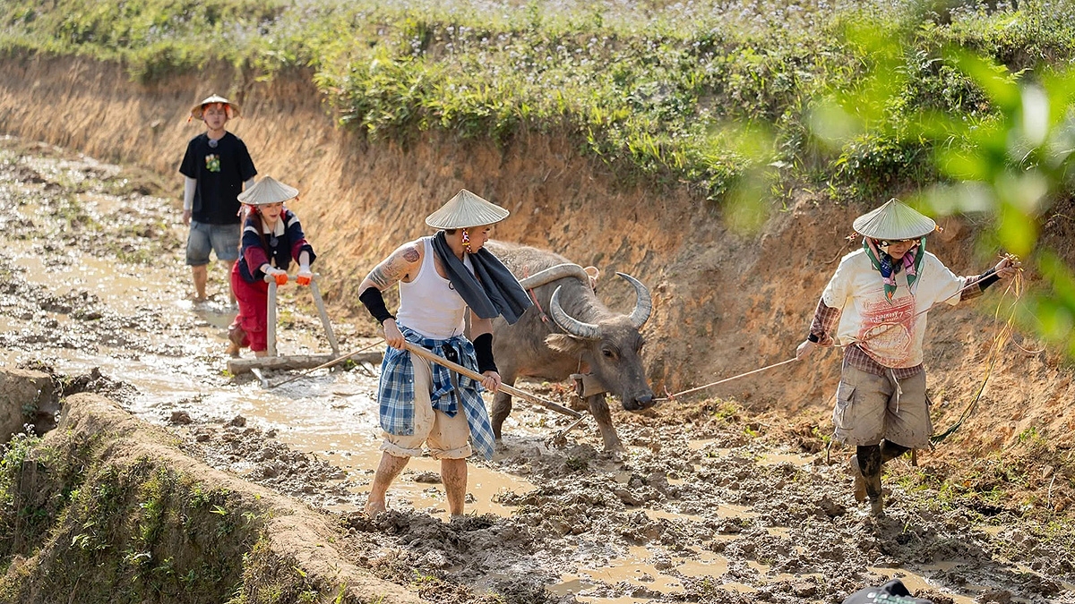 Du lịch Bản Liền đang trở nên nhộn nhịp với nhiều sản phẩm trải nghiệm du lịch nông nghiệp, du lịch cộng đồng gần gũi. (Ảnh: Gia đình Haha)