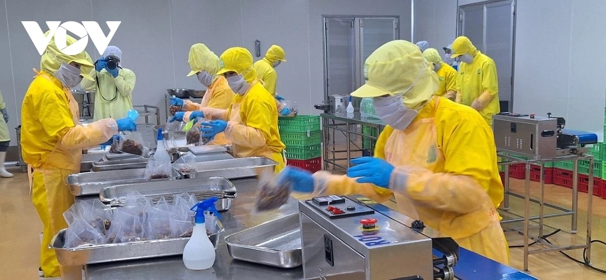 khu vực kinh tế tư nhân chiếm 82,07% tổng lao động trong nền kinh tế