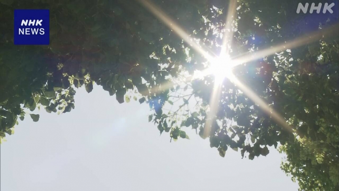 Nắng nóng chói chang tại Nhật Bản.