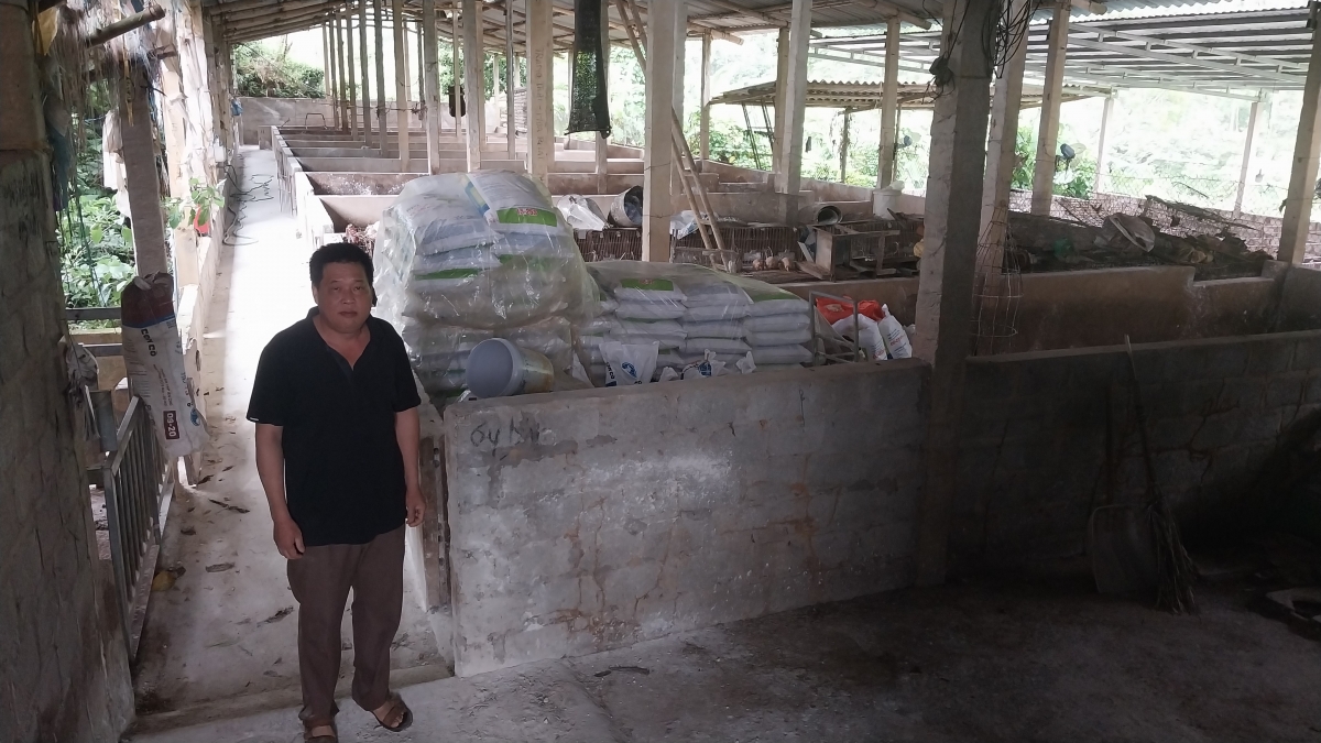 Trang trại của ông Lăng Văn Tính nằm tại khu vực xa dân cư ở thôn Cây Thị, xã Sơn Dương, tỉnh Tuyên Quang
vừa phải tiêu hủy đàn lợn hơn 150 con