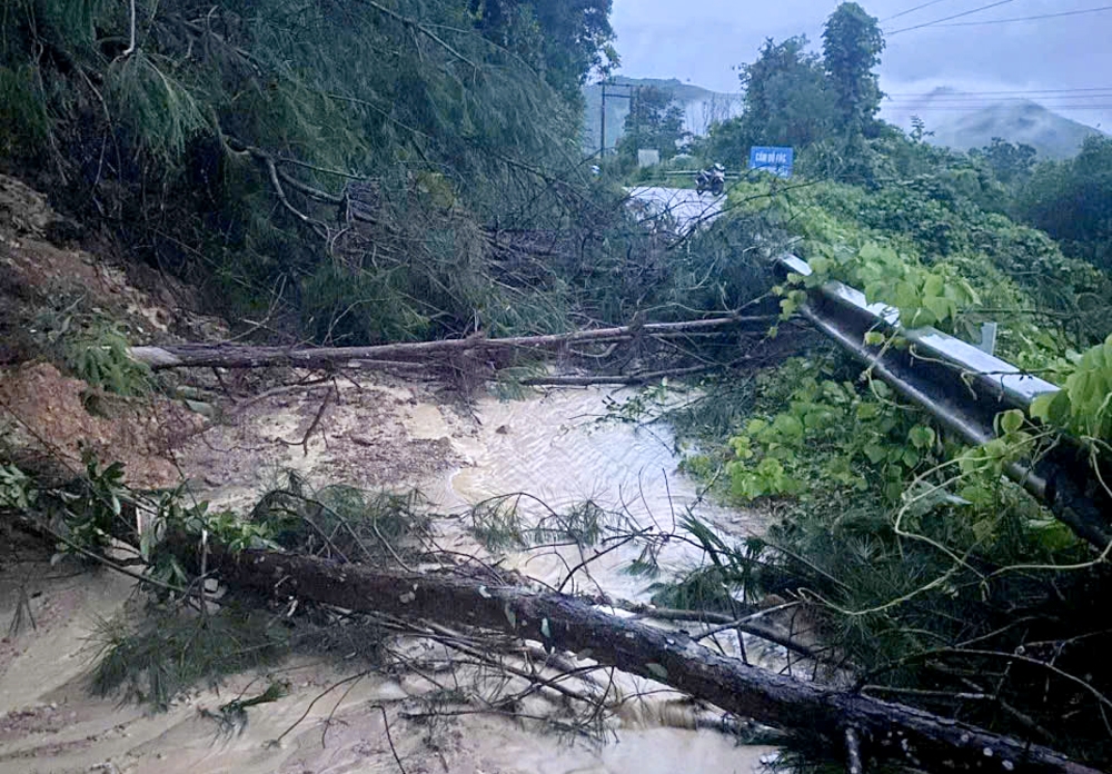 Cây đổ gãy xuống đường cản trở giao thông tại xã Vân Sơn