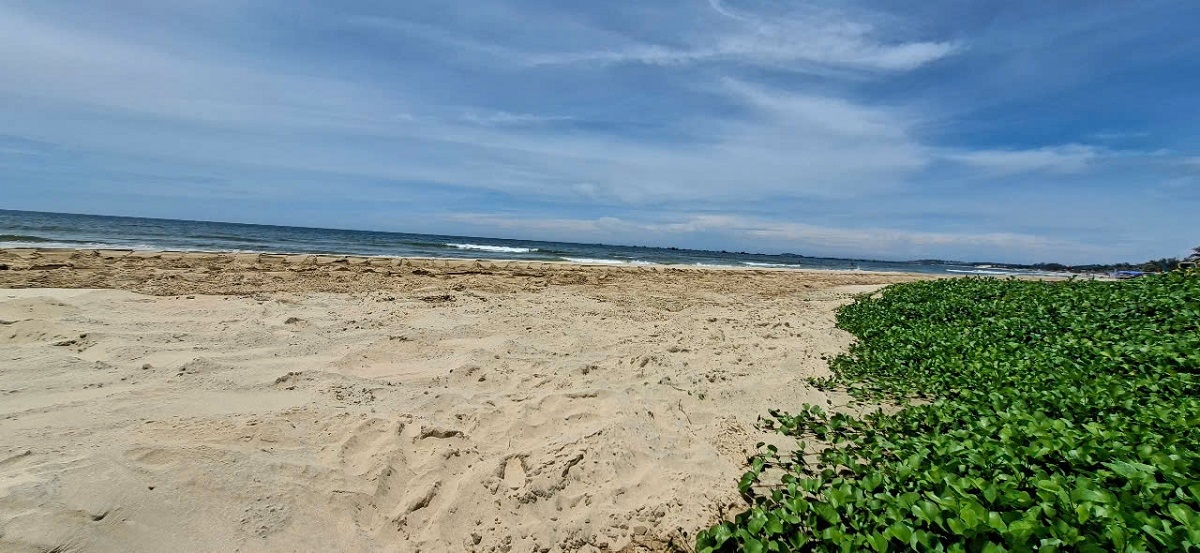 Vũng nước đen ngòm, bốc mùi hôi thối được san lấp. Ảnh: B.H