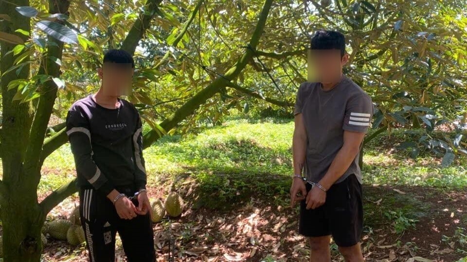 Các đối tượng bị tạm giữ. Ảnh: Công an tỉnh Đồng Nai