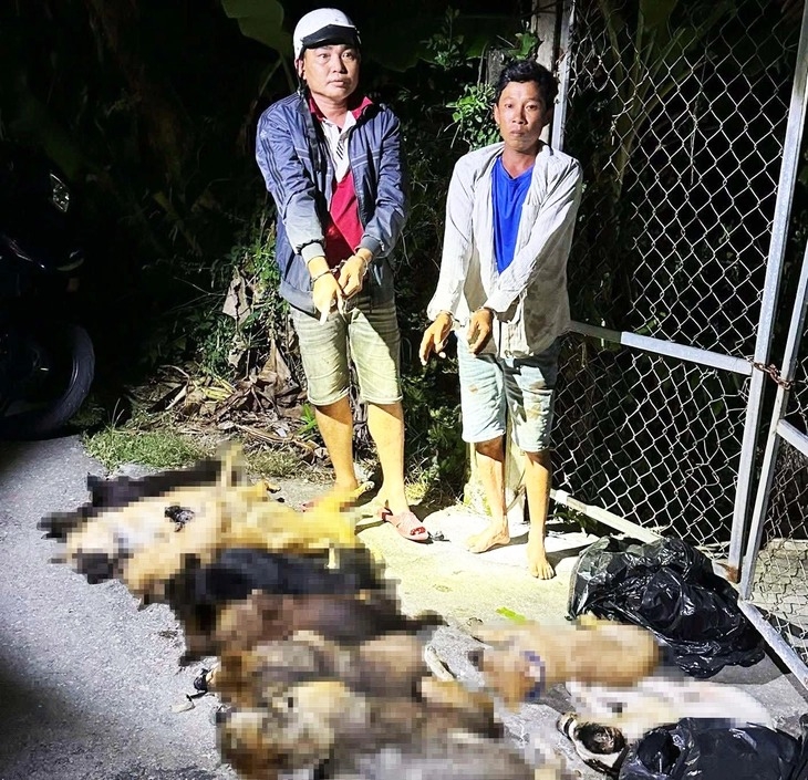 Số lượng chó lớn bị nhóm trộm giết chết - Ảnh: Công an cung cấp