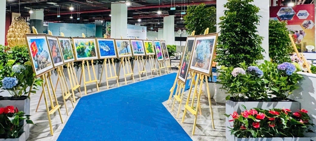 150 bức ảnh được lựa chọn trưng bài tại triển lãm.