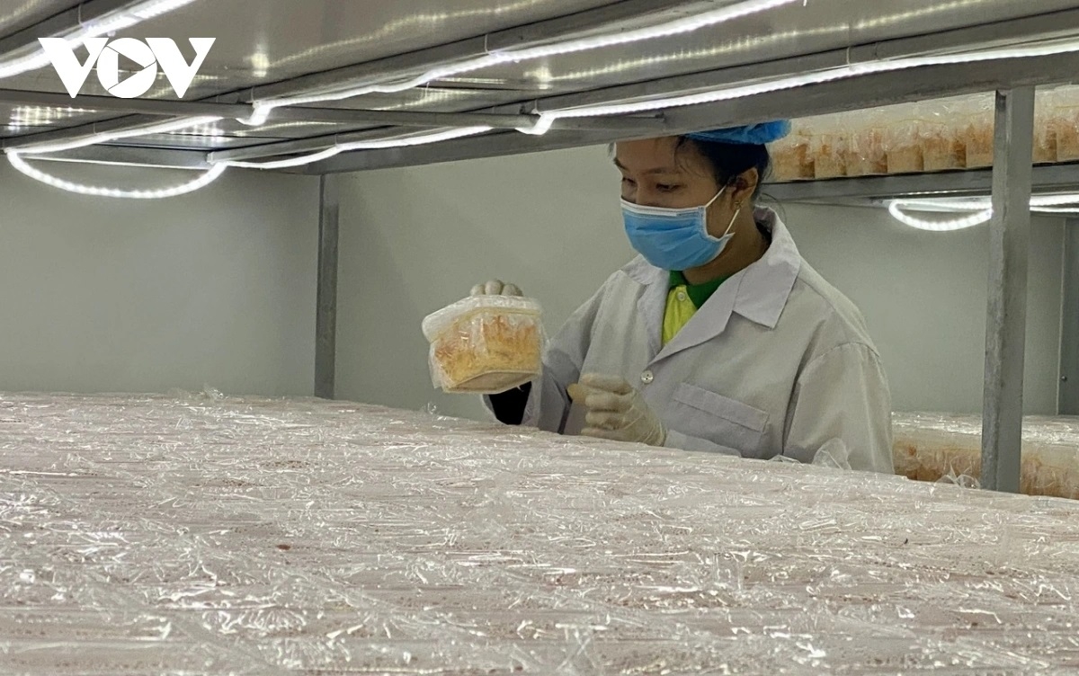 Doanh nghiệp mong muốn gỡ bỏ rào cản để phát triển